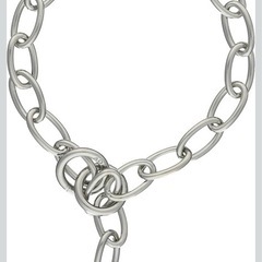 ワンチャン用　首輪
の画像