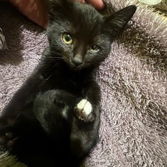 ポッチャリ体型のジンくん