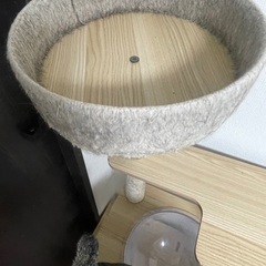 キャットタワーの画像