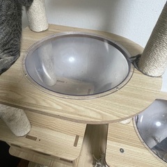 キャットタワーの画像