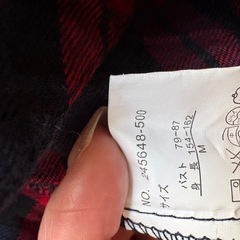 ネルシャツの画像