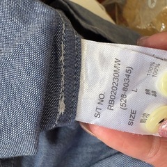 半袖でシャツの画像