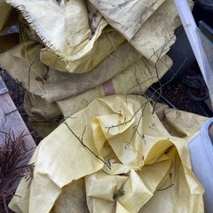 ブルーシート山
の画像