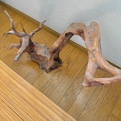 流木オブジェの画像