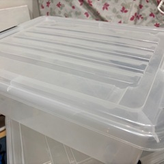 【受け渡し予定者設定済】収納ケース(ロックシード)の画像