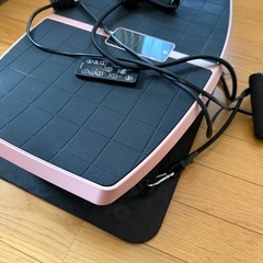 Hybrid Core 振動マシンの画像