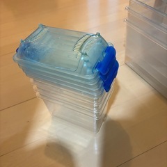 クリーンケース(昆虫飼育ケース)の画像