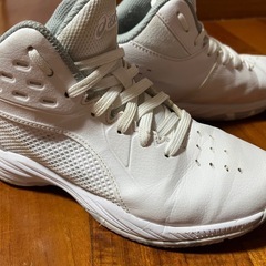ASICS バスケットボールシューズ 21.0cmの画像