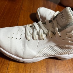 ASICS バスケットボールシューズ 21.0cmの画像