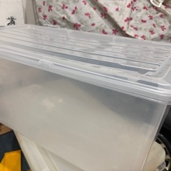 【受け渡し予定者設定済】収納ケース(ロックシード)の画像