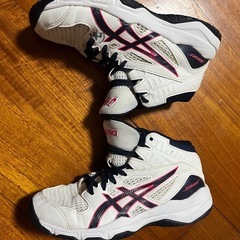 ASICS バスケットボールシューズ 20.5cmの画像
