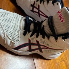 ASICS バスケットボールシューズ 20.5cmの画像