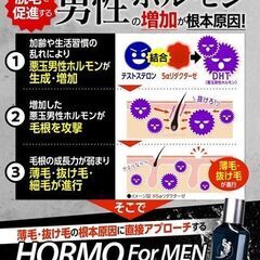 HORMO ヘアグロウエッセンス for MEN 塗る女性ホルモン 育毛剤 発毛の画像