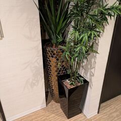 インテリア造花の画像