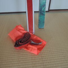 テレマークスキー板の画像