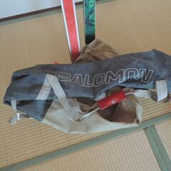 テレマークスキー板の画像