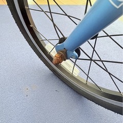 ルイガノ 子供 キッズ 自転車 16インチ スカイブルー (K16LITE スカイブルー)の画像