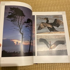 ポーランドの本の画像