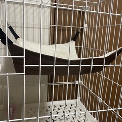 猫用ケージの画像