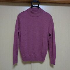 薄いセーター（1種類は２枚）の画像