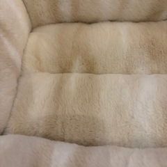 犬用ベッドの画像