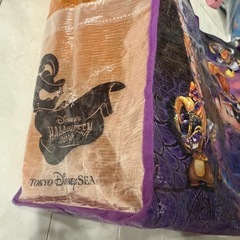 2010年　ディズニーシー　エコバッグの画像