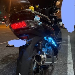 シグナス3型の画像