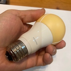 東芝LED電球LDA12L-Gの画像