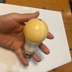 東芝LED電球LDA12L-Gの画像