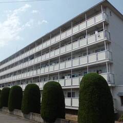 【敷金・礼金・手数料・更新料０円！】ビレッジハウス足利福居2号棟...