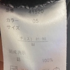 Tシャツ（長袖）の画像