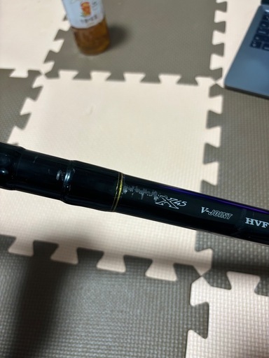 釣具　打ち込み　ダイワ　ガーラモンスター