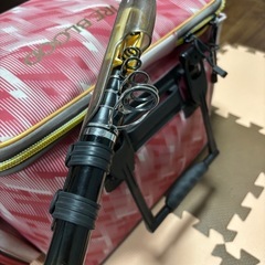 釣具　打ち込み　ダイワ　ガーラモンスターの画像