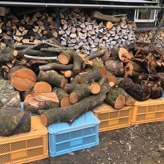 乾燥薪 金沢市東インター近く紅葉樹　広葉樹　落葉樹　堅木2年乾燥軽トラ1台分あおり迄金沢市の画像