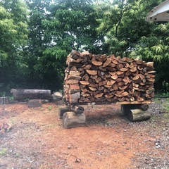 乾燥薪 金沢市東インター近く紅葉樹　広葉樹　落葉樹　堅木2年乾燥軽トラ1台分あおり迄金沢市の画像