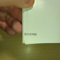 『菜の花物語』椎名 誠　集英社の画像