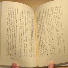 『菜の花物語』椎名 誠　集英社の画像