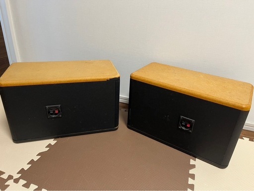 BOSE 301AV