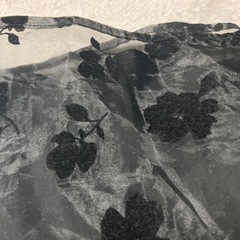 チュールスカートの画像