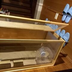 大きなハムスター ケージの画像