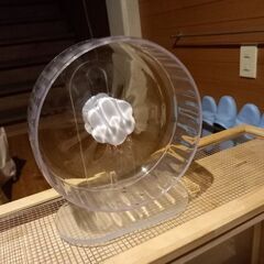 大きなハムスター ケージの画像