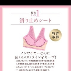 LUNAナチュラルアップナイトブラ   3枚セットの画像