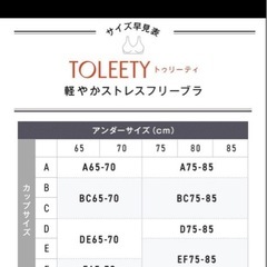 TOLEETYナチュラルアップナイトブラ      3枚セットの画像