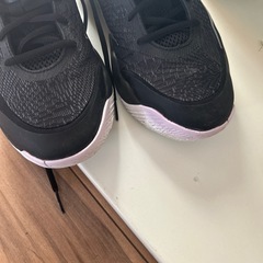 ナイキバッシュ サイズ28cmの画像