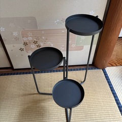 植物 スタンド ダークグレーの画像