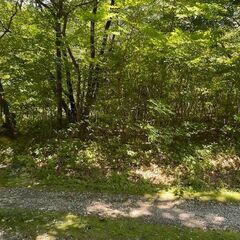 No.C-a693-2【栃木県那須塩原市横林】土地（先祖から相続...