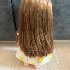 お話し中ソランちゃん　人形の画像