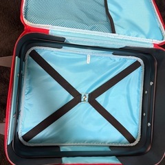 ポールフランク　キッズ　キャリーバックの画像