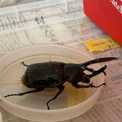 お取引先決まっております。の画像