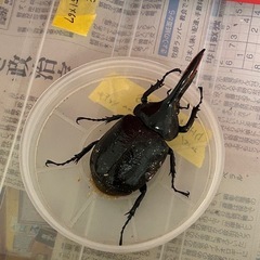 お取引先決まっております。の画像